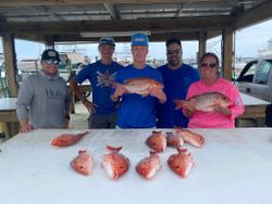 Pensacola Pride: Red Snapper Joy